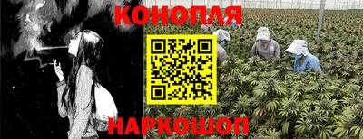 mix Кунгур