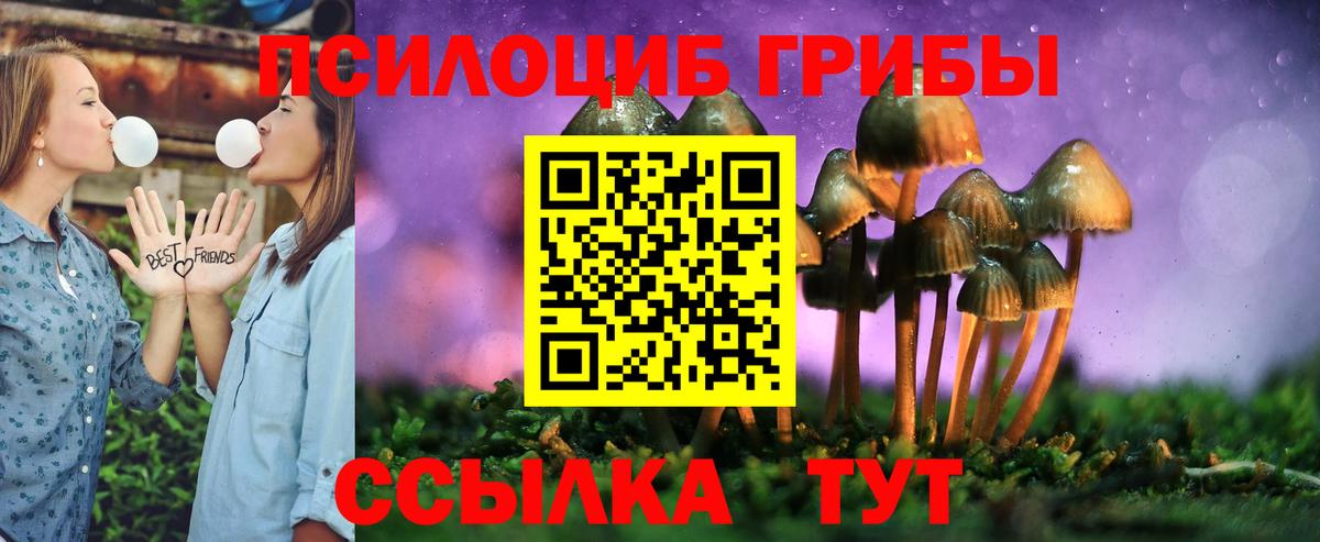 Галлюциногенные грибы мицелий  Вход с VPN  Псилоцибиновые грибы MAGIC MUSHROOMS  Чайковский 